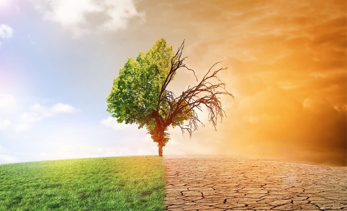 Tunisie - Italie en webinaire sur l’impact du changement climatique sur l’oléiculture et sur la sécurité alimentaire! Tunisie - Italie en webinaire sur l’impact du changement climatique sur l’oléiculture et sur la sécurité alimentaire!