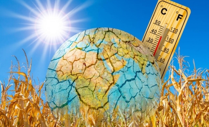 Le 6 ème rapport du GIEC sur le climat : il faut sauver le vaisseau terre ! Le 6 ème rapport du GIEC sur le climat : il faut sauver le vaisseau terre !