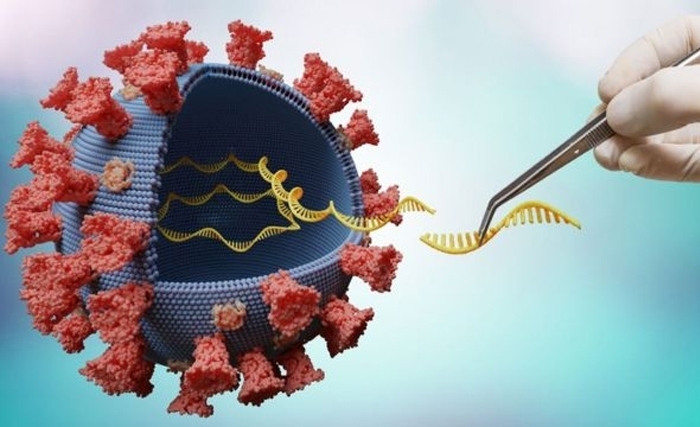 Le corona virus est-il une arme biologique spécifique