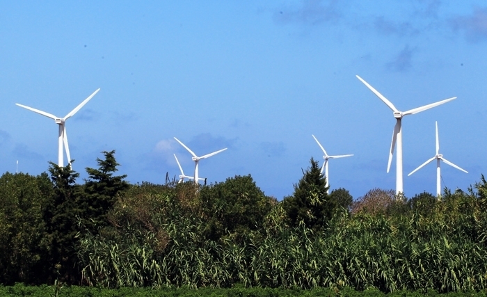 Coopération et sobriété pour déclencher la transition: un monde sans carbone est un monde de paix