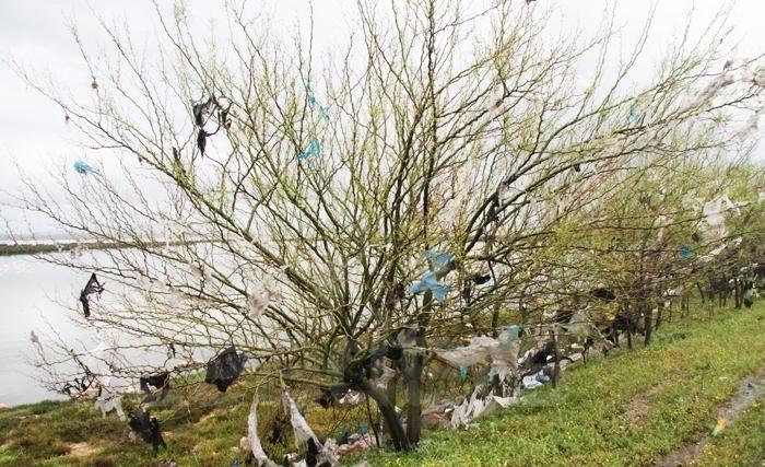 La pollution : une pandémie mortelle dont on ne parle pas assez. La pollution : une pandémie mortelle dont on ne parle pas assez.