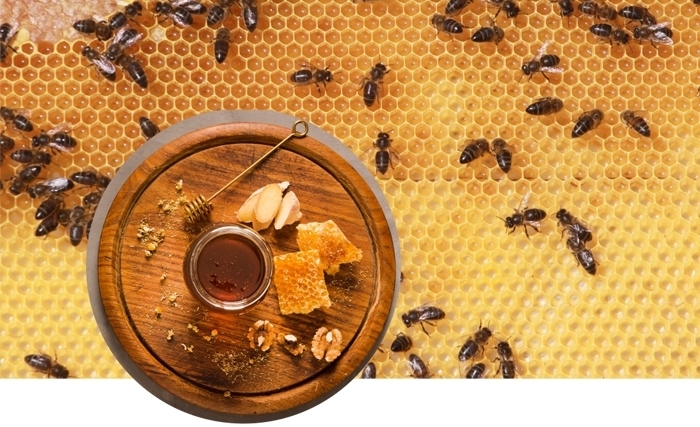 Tout savoir sur les propriétés bienfaisantes du miel (Album photos)