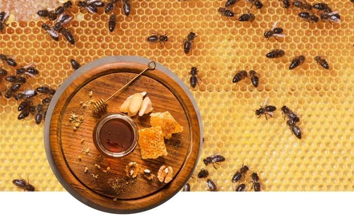 Tout savoir sur les propriétés bienfaisantes du miel (Album photos) Tout savoir sur les propriétés bienfaisantes du miel (Album photos)