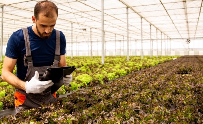 Tunisie: L’urgence pour une alimentation durable Tunisie: L’urgence pour une alimentation durable