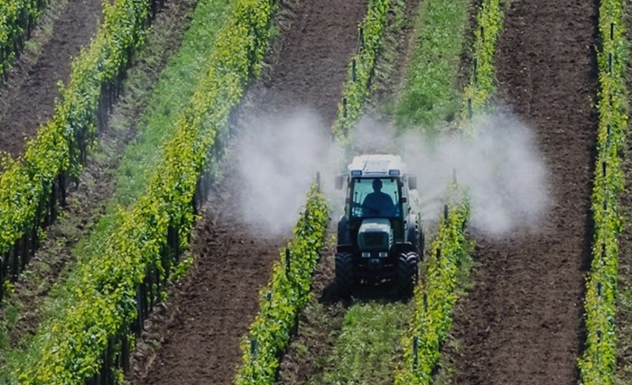Tunisie: N’est-il pas temps de faire la paix avec notre agriculture ? Tunisie: N’est-il pas temps de faire la paix avec notre agriculture ?