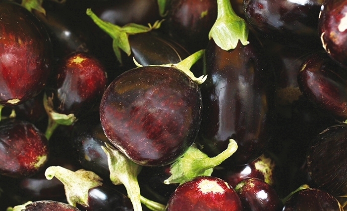 Les multiples bienfaits de l’aubergine Les multiples bienfaits de l’aubergine