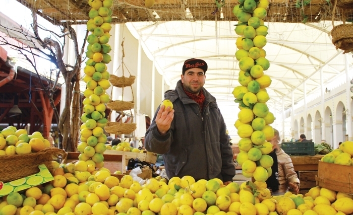 Citron Quatre saisons: Un agrume riche en vitamine C (Photos)