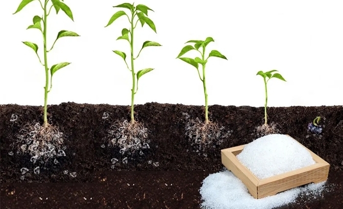 Les polymères super absorbants en agriculture, une solution pour surmonter le stress hydrique? Les polymères super absorbants en agriculture, une solution pour surmonter le stress hydrique?