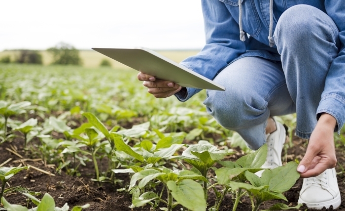 De la cueillette des aliments à l’agriculture de précision De la cueillette des aliments à l’agriculture de précision