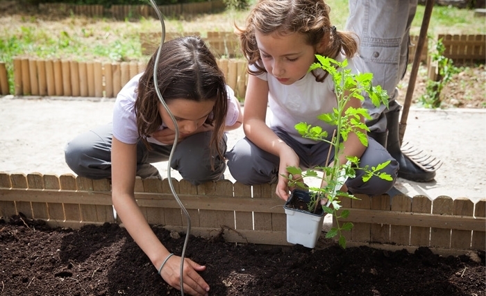 Tunisie: Jardins scolaires et réforme éducative