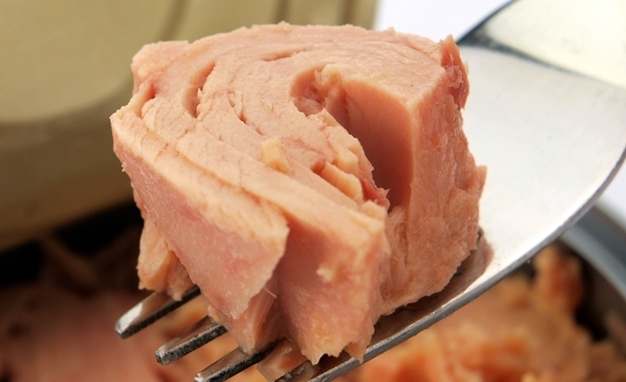 Le thon en conserve: un aliment intéressant et un potentiel important 