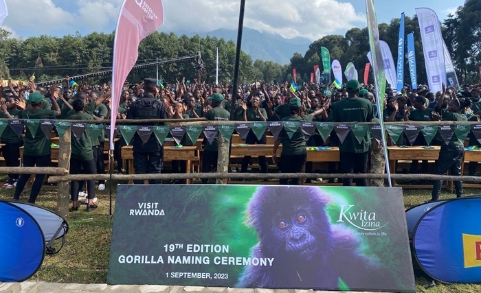 Kwita Izina 19: Le Rwanda fête la préservation de la nature et attire les foules Kwita Izina 19: Le Rwanda fête la préservation de la nature et attire les foules