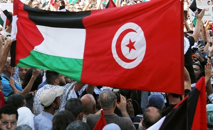Gaza : La Tunisie, unie, en soutien de la Palestine (Album photos)