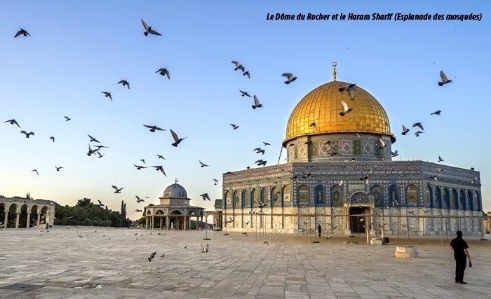 Splendeur de l’architecture omeyyade: Le Dôme du Rocher, la mosquée Al Aqsa de Jérusalem et la grande mosquée de Damas