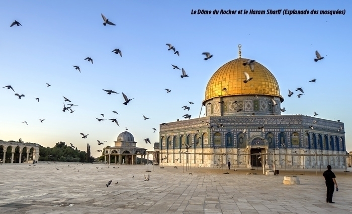 Splendeur de l’architecture omeyyade: Le Dôme du Rocher, la mosquée Al Aqsa de Jérusalem et la grande mosquée de Damas Splendeur de l’architecture omeyyade: Le Dôme du Rocher, la mosquée Al Aqsa de Jérusalem et la grande mosquée de Damas