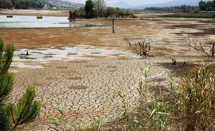 Tunisie: Ensemble pour combattre la sécheresse
