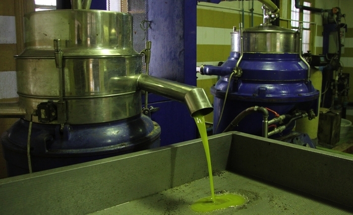La 3ème Conférence Euro-méditerranéenne: catalyseur d'excellence pour une filière oléicole durable La 3ème Conférence Euro-méditerranéenne: catalyseur d'excellence pour une filière oléicole durable