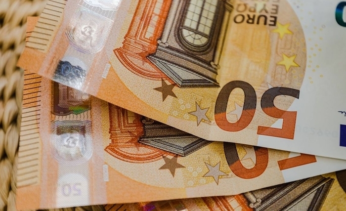 Baisse limitée de l'euro en 2024, malgré la stagnation de la zone euro Baisse limitée de l'euro en 2024, malgré la stagnation de la zone euro