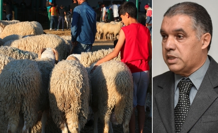 L’Aïd al-Adha: Vers une célébration accessible, solidaire et durable pour tous ! L’Aïd al-Adha: Vers une célébration accessible, solidaire et durable pour tous !