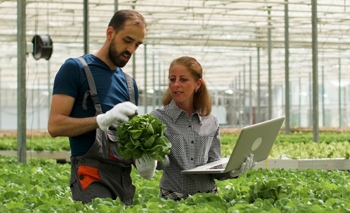 Face au changement climatique, un système d'aide à la décision pour une agriculture intelligente et durable (iGuessMed) Face au changement climatique, un système d'aide à la décision pour une agriculture intelligente et durable (iGuessMed)