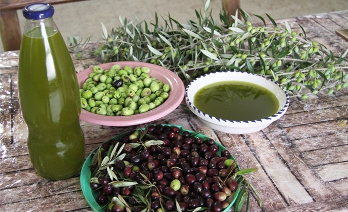 Le secteur oléicole à l'honneur: Sfax accueille un événement clé sur le marketing et la commercialisation de l'huile d'olive Le secteur oléicole à l'honneur: Sfax accueille un événement clé sur le marketing et la commercialisation de l'huile d'olive