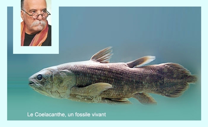 La sixième extinction: comprendre l'histoire pour sauver la biodiversité La sixième extinction: comprendre l'histoire pour sauver la biodiversité