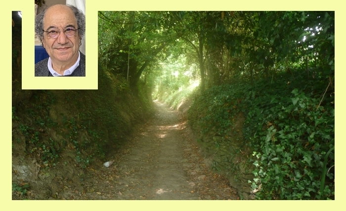Tahar Bekri: Le bout du chemin Tahar Bekri: Le bout du chemin