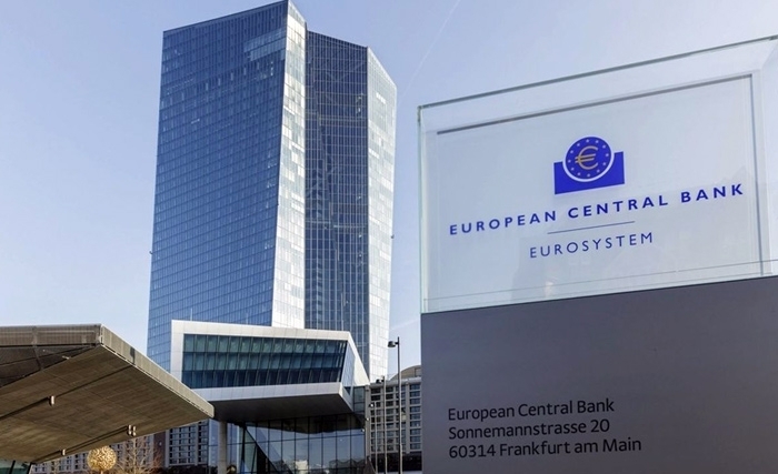 L'économie de la zone euro prépare le terrain pour des baisses plus importantes des taux de la BCE L'économie de la zone euro prépare le terrain pour des baisses plus importantes des taux de la BCE