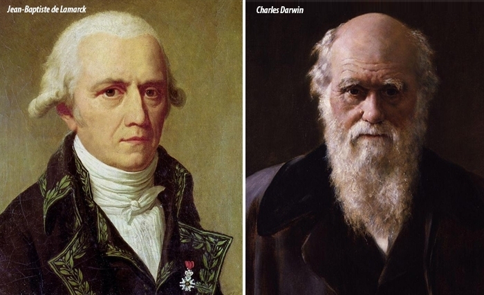 Darwin, Lamarck et l'épigénétique: Une évolution des idées Darwin, Lamarck et l'épigénétique: Une évolution des idées