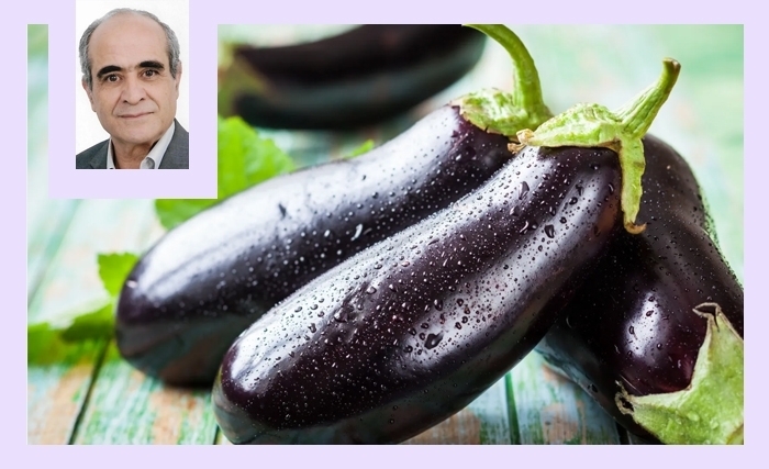 Aubergine: un légume magnifique, connaisseurs et grands chefs l’adorent Aubergine: un légume magnifique, connaisseurs et grands chefs l’adorent