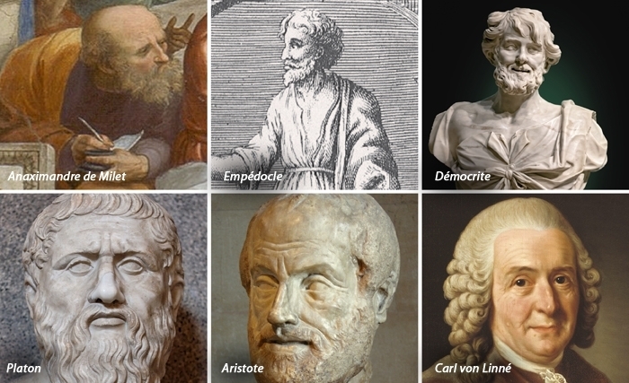 Les Philosophes Grecs et le monde du vivant: Fondements d'une pensée biologique