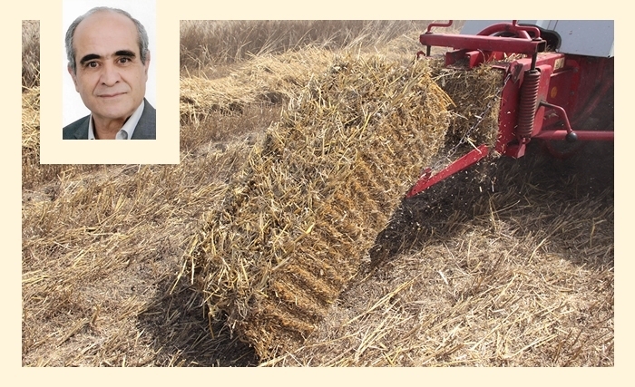 La paille : Un coproduit de la céréaliculture essentiel pour l’élevage et l’agriculture La paille : Un coproduit de la céréaliculture essentiel pour l’élevage et l’agriculture