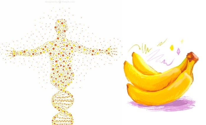 Zouhaïr Ben Amor: 60 % de banane en nous? Ce que notre ADN dit de la vie Zouhaïr Ben Amor: 60 % de banane en nous? Ce que notre ADN dit de la vie