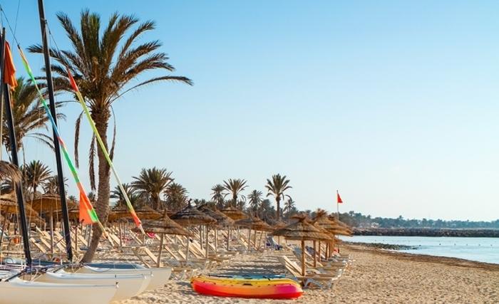 Djerba sans sachets plastiques à usage unique depuis le 1er août 2022 : Est-ce la fin du cauchemar ?