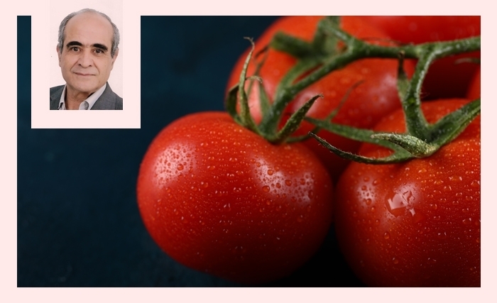 Ridha Bergaoui : La tomate, notre allié alimentaire, économique et stratégique Ridha Bergaoui : La tomate, notre allié alimentaire, économique et stratégique