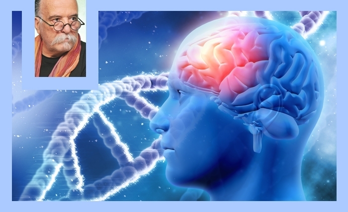 La tyrannie du cerveau: grandeur et démesure de l’intelligence humaine