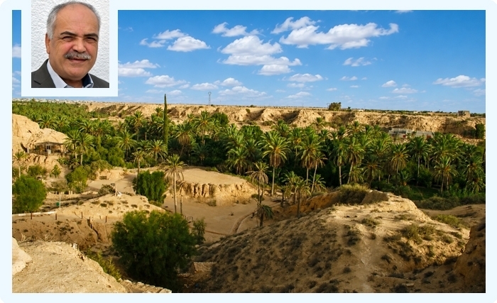Pour une bonne mise en tourisme de l’oasis de Gabès