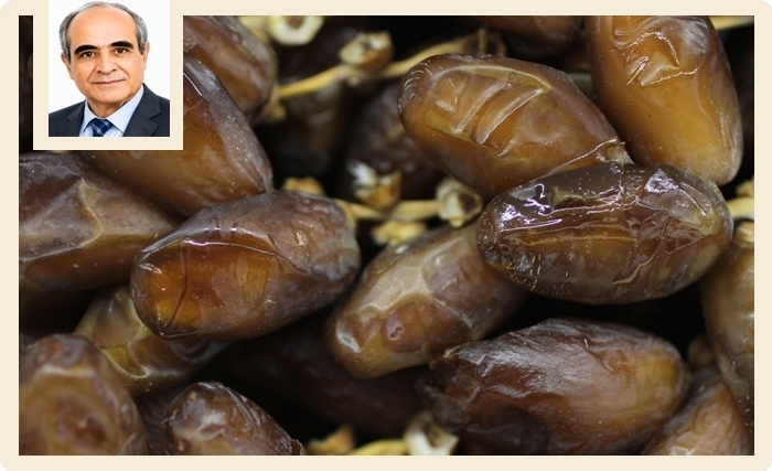 Les dattes tunisiennes: un fruit délicieux et nutritif, des sous-produits à mieux valoriser