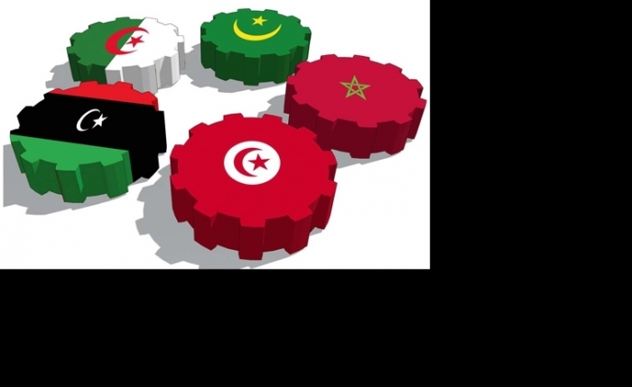 Géopolitique de la Tunisie et du Maghreb L’arbre qui cache la forêt Géopolitique de la Tunisie et du Maghreb L’arbre qui cache la forêt
