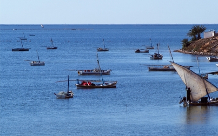 Ces merveilleuses îles tunisiennes...