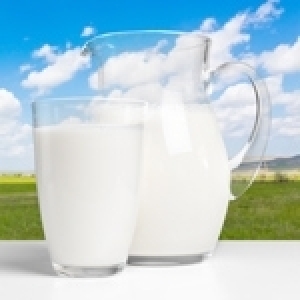 Tunisie : La filière lait au bord de la faillite