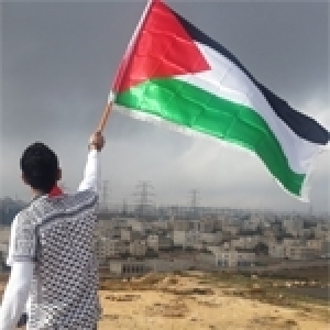 Une population à la loupe... celles des Palestiniens et des Israéliens