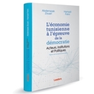 L’économie tunisienne à l’épreuve de la  démocratie: Acteurs, Institutions et Politiques