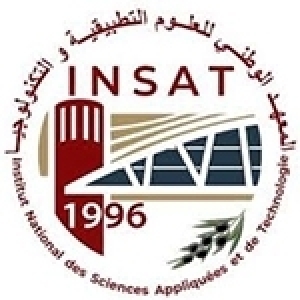 Une Ecole thématique en Microélectronique à l’INSAT