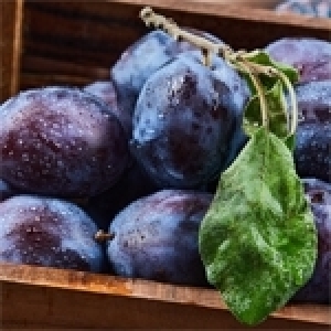 La prune: un fruit-santé riche et polyvalent