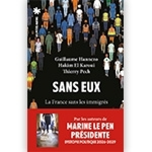 Sans eux, le nouveau livre de Guillaume Hannezo, Hakim El Karoui et Thierry Pech