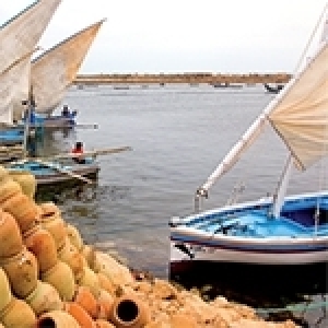 Kerkennah, un archipel entre histoire, spiritualité et identité tunisienne