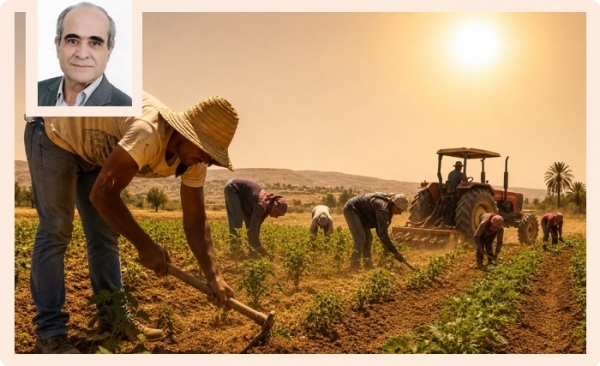 Chaleur et canicules en Tunisie: l’urgence d’adaptation de l’agriculture