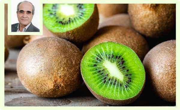 Le kiwi: Un fruit «plaisir et santé»
