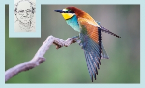 Tahar Bekri : Voeux de l'oiseau patient